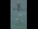 【ティアキン】ウッコ池北西のライネル ゼルダの伝説ティアーズオブザキングダム