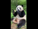 ヤバい....リンゴも美味しい
