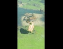 【ティアキン】グリオー橋西のイエロック ゼルダの伝説ティアーズオブザキングダム