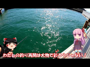 琴葉姉妹と行く釣行記録（海釣り編part45 1/2）