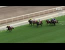 【世界最強スプリンター“カーインライジング”20連勝達成】チェアマンズスプリントプライズ(G1) 2026/4/26