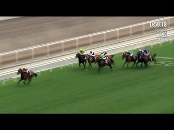 【世界最強スプリンター“カーインライジング”20連勝達成】チェアマンズスプリントプライズ(G1) 2026/4/26