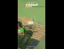 【ティアキン】風見の草原のイエロック ゼルダの伝説ティアーズオブザキングダム