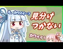 【琴葉姉妹】似てる動物ぜんぶにカワイイを連呼する茜ちゃん