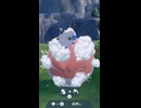 ビリリダマのシャワータイム♪