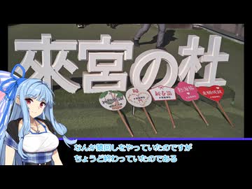 【御朱印祭】葵ちゃんの静岡探訪　タフな神社「来宮神社」でサムソン・パワー　【VOICEROID旅行】