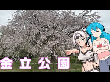 雨晴はうのドライブ　佐賀　金立公園