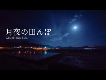 【音散歩】春の夜の田んぼとカエル、遠くを走る車の音