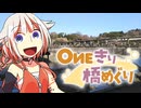OИEきり橋めぐり【梅ノ橋】