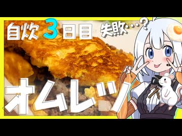 【自炊vlog】ひき肉オムレツって高難易度では？【失敗】自炊3日目