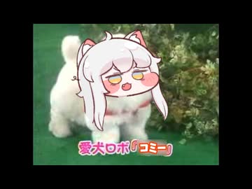 愛犬ロボ　｢コミー｣