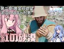 【紅の砂漠/ボイスロイド】琴葉姉妹のファイウェル巡遊記#10【CrimsonDesert/ストーリー実況】