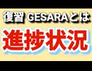 GESARAの意義と進捗