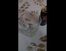コーヒーをアレンジして飲んでみた！