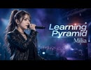 Learning Pyramid / Milia