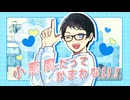 小悪魔だってかまわない！/めいちゃん　歌ってみた【koki-bou】