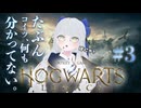 【 ホグワーツレガシー  】２週間ぶりに魔法界へ！魔法つかえるかなぁ？#3【 ぽんこつゲーム配信 】