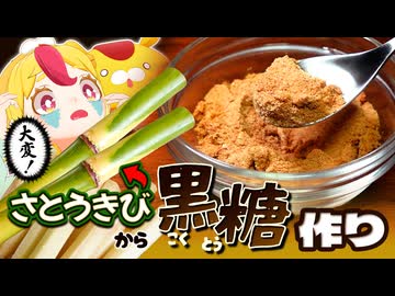 【手作り】サトウキビから黒糖を作ったら大変だった｜#おむらいす食堂