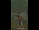 【ティアキン】ラネール湿原への抜け道のイワロック ゼルダの伝説ティアーズオブザキングダム