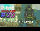 [tk20]ゼルダの伝説ティアーズオブザキングダム実況Part20 ゲルドの里