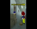 見るコトバ集　シャルパンティエ効果