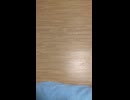 ジノーサイド