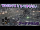 WASDがまともに押せない成人女性のダークソウルⅢ　part3