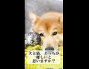犬と猫、人間に優しいのはどっち！？