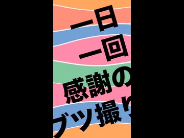 一日一回感謝のブツ撮り！『動画撮影中にプルプルしない方法模索中』