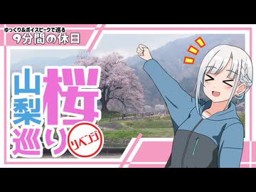 【ゆっくりボイスピ車載】山梨桜巡りリベンジ2026 前編【9分間の休日】