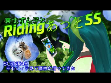 東北ずん子とRidingあっとSS SCENE45【ネモフィラ見て警察に行ってきた】