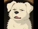 老犬。①(AI動画)