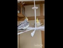 本日のなぎちゃんは？□