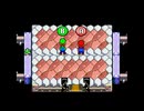【マリオ＆ルイージRPG】#23