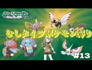 【ポケモン　エメラルド】　ポケモン最強の虫タイプで打倒ダイゴ！！　とらごろうの一人旅　part13