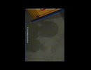 れびてーしょん／ありる【歌ってみた】