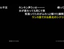 ねこぴ「めじろうはお金がなかった…」 ※お金が無いと言って払わないいつもの手口。そのせいで大仏とねこぴが喧嘩に。めじろうの手口はニコニコ大百科のめじろう参照【2026/4/26】