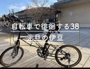 自転車で徘徊する 38 ~元旦の伊豆~