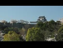 国宝・彦根城と満開の桜｜春の絶景と静かな時間｜米田健太郎