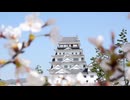 【癒し】桜に包まれるお城の風景｜春の絶景｜米田健太郎