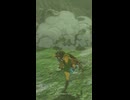 【ティアキン】オブリー平原のイワロック ゼルダの伝説ティアーズオブザキングダム