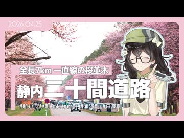 【花隈千冬】日高にサクラサク【静内二十間道路・うらかわオバケ桜】
