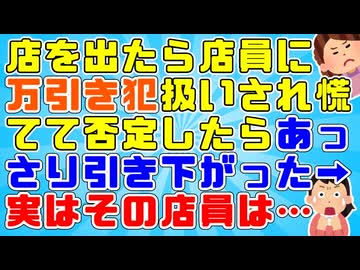 【衝撃体験】店員「万引きしたもの出しなさい」私「してません！」店員「ああそう」私「へ？」いきなり店員に万引き犯扱いされたと思ったらあっさり引き下がった→後日その人の正体が判明