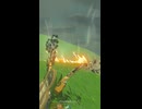 【ティアキン】バウメル高地のイエロック ゼルダの伝説ティアーズオブザキングダム