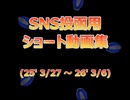 ショート動画集(その2)
