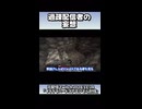 過疎配信者による楽しい妄想タイム