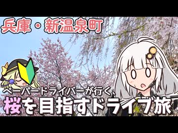 【西日本最大】兵庫の北部に桜の名所があるらしい！　ので！ドライブしてきます！【VOICEROID車載】