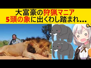 狩猟が趣味の大富豪、ハンティングするもりが象にハンティングされてしまう…