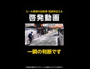 【独自】ルール無視の自転車 その結末は…警察が公開した“衝撃映像”