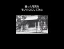 過去に撮った写真をモノクロ加工してみた（2024年公開）